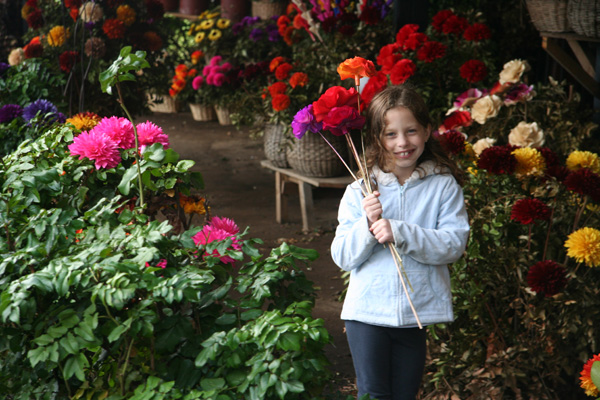 Irene in a wood flower shop in Pucon