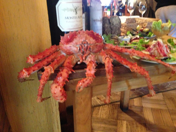 King crab in Puerto Varas