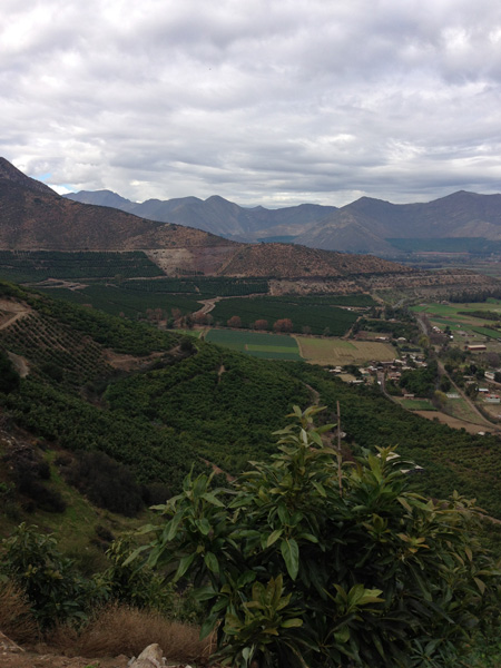 The vista from Rodrigo\'s avocado farm