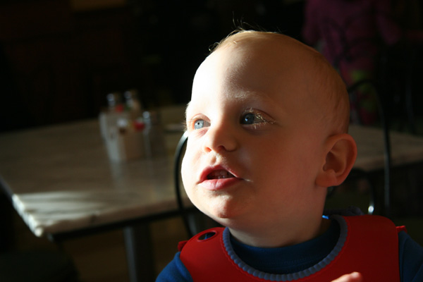 Sam the Anti-Preemie: Taking in the view at Fenton\'s