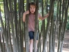 Sam the Anti-Preemie: Tree jail