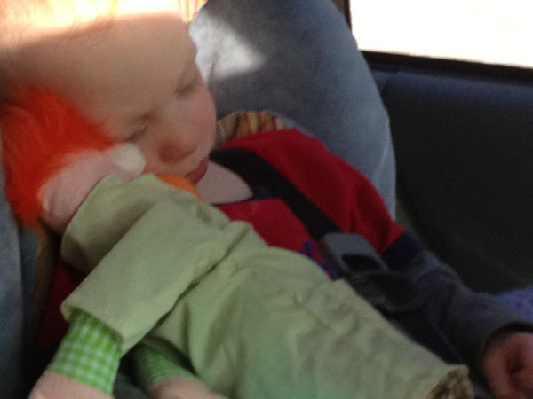 napping with Beaker in the car on the way home