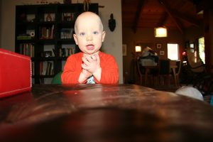 Sam the Anti-Preemie plays with a plate