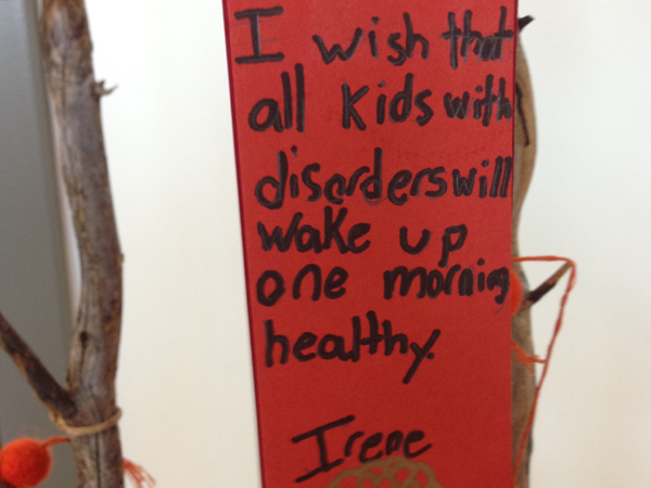 Sam the Anti-Preemie: Irene's WIsh