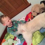 Sam the Anti-Preemie with his dogs